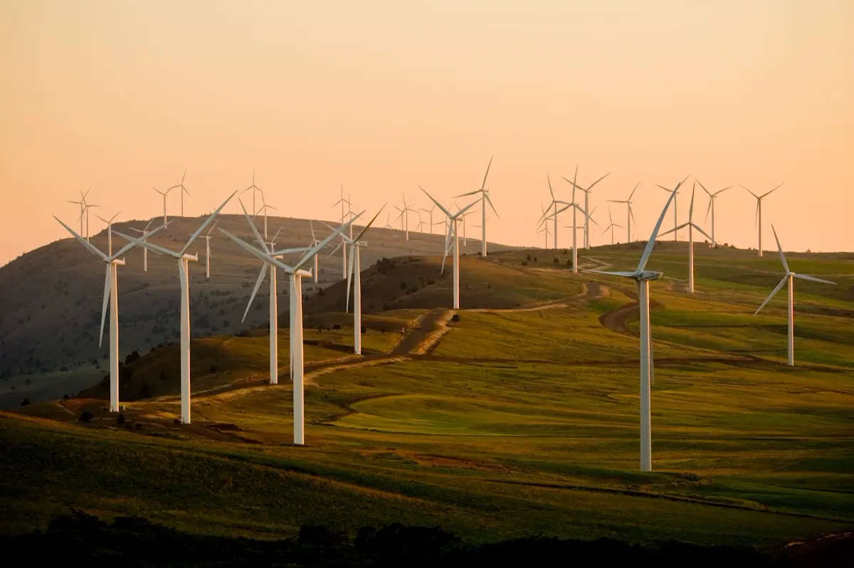 Energy & Climate